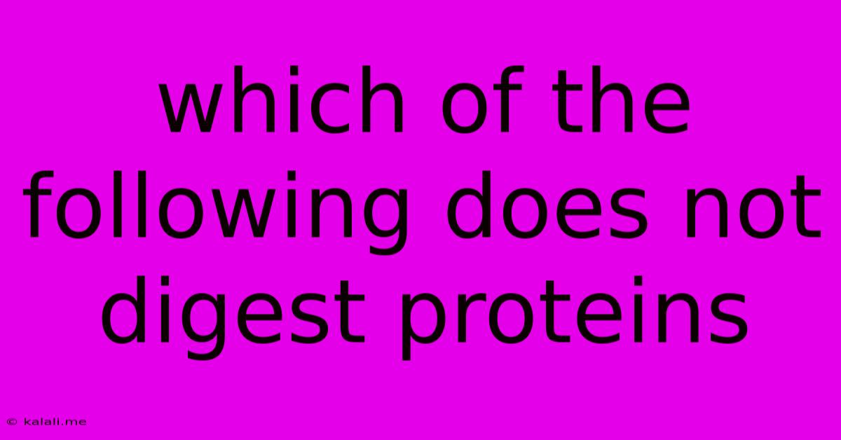 Which Of The Following Does Not Digest Proteins