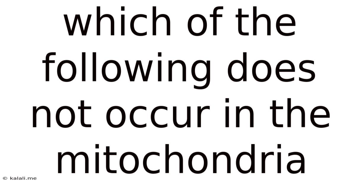 Which Of The Following Does Not Occur In The Mitochondria