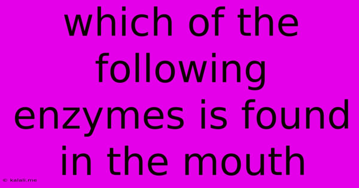 Which Of The Following Enzymes Is Found In The Mouth