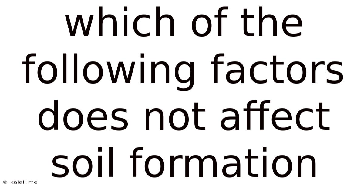 Which Of The Following Factors Does Not Affect Soil Formation