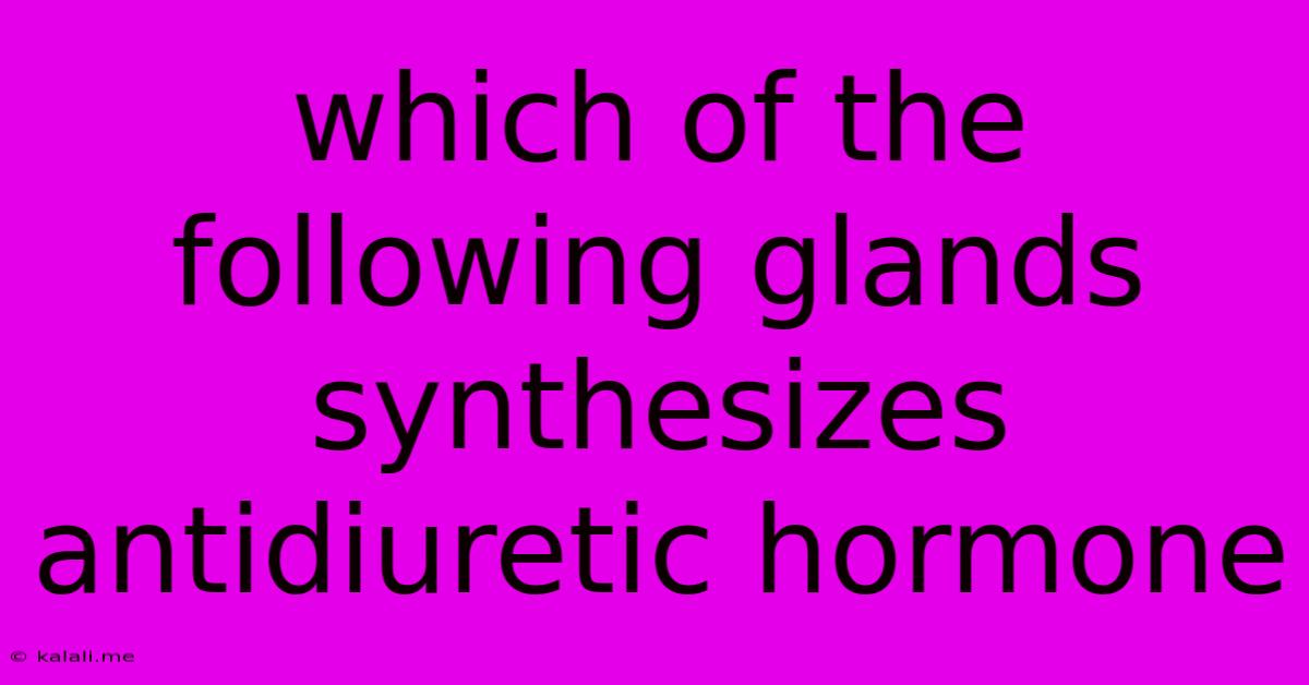 Which Of The Following Glands Synthesizes Antidiuretic Hormone