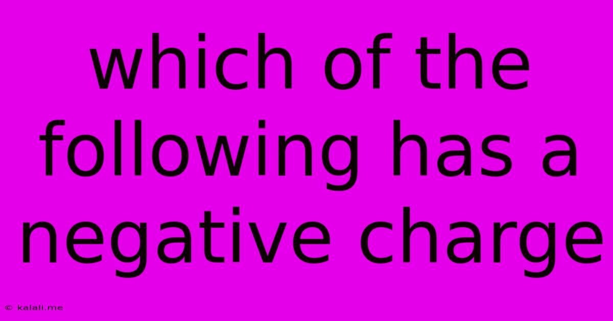 Which Of The Following Has A Negative Charge