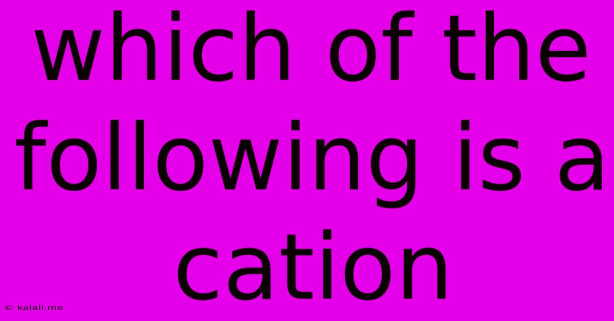 Which Of The Following Is A Cation