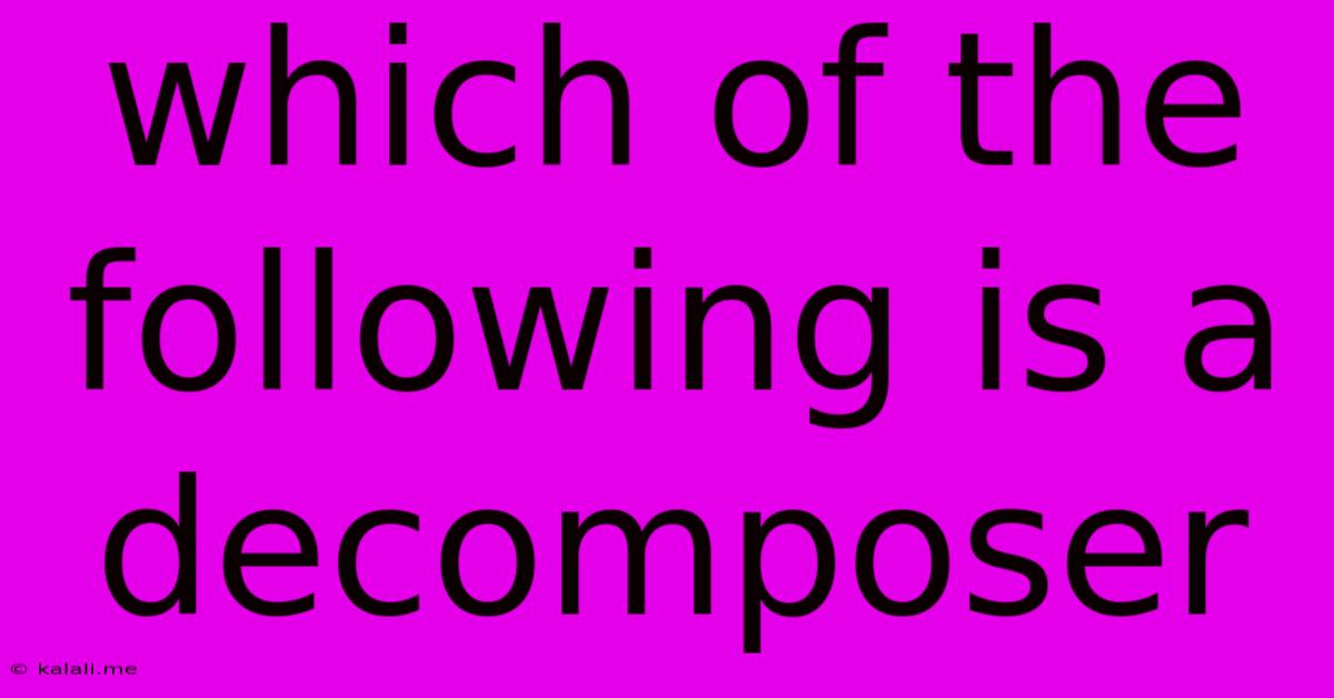 Which Of The Following Is A Decomposer