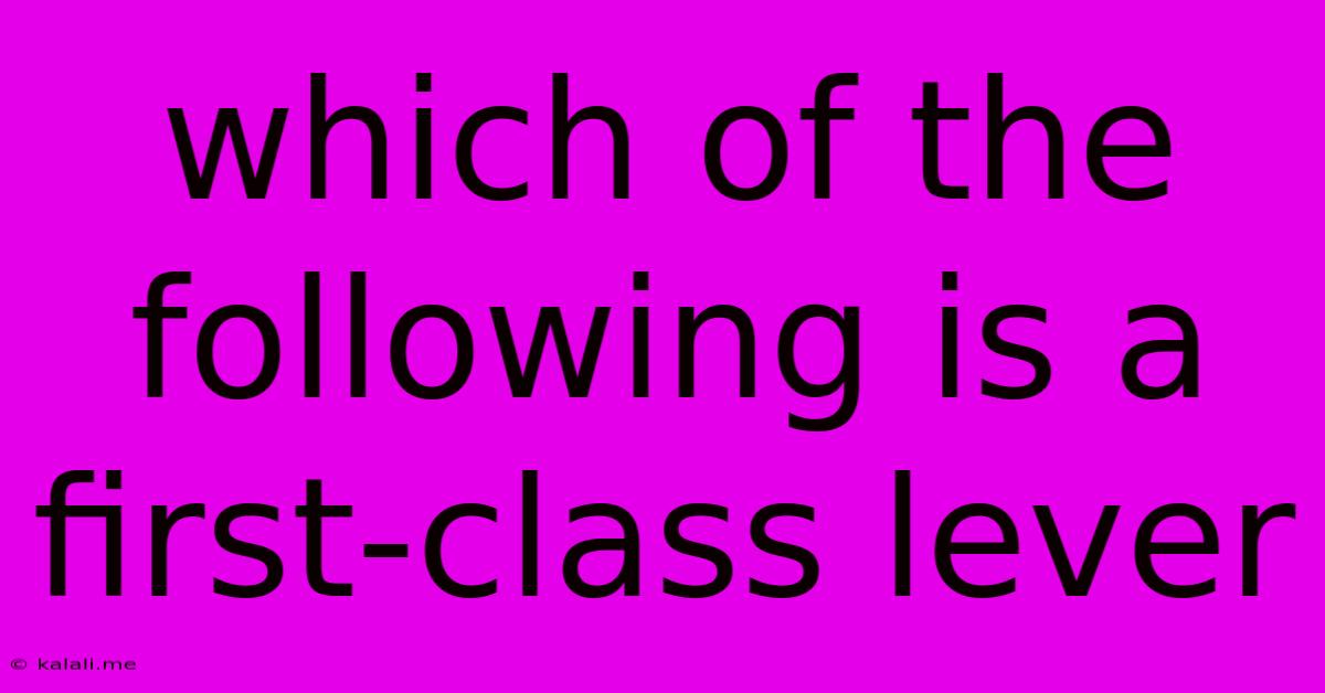 Which Of The Following Is A First-class Lever