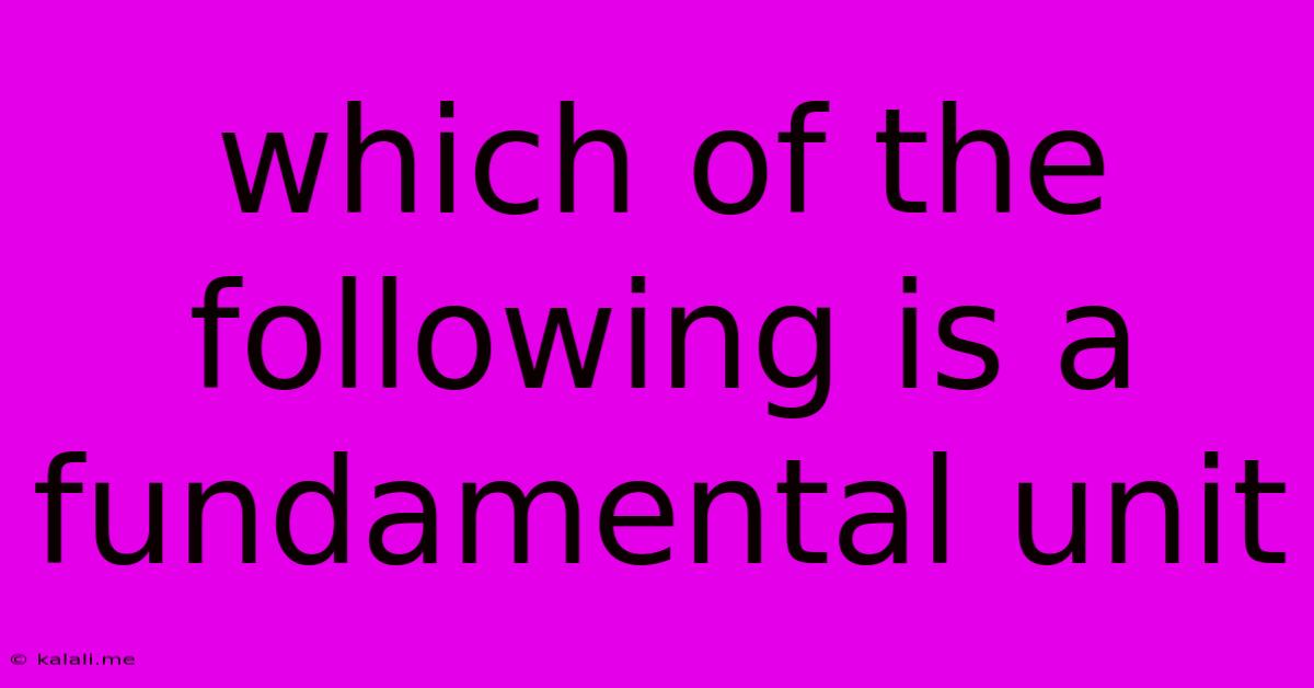 Which Of The Following Is A Fundamental Unit