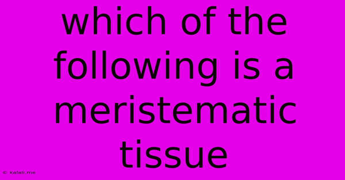 Which Of The Following Is A Meristematic Tissue