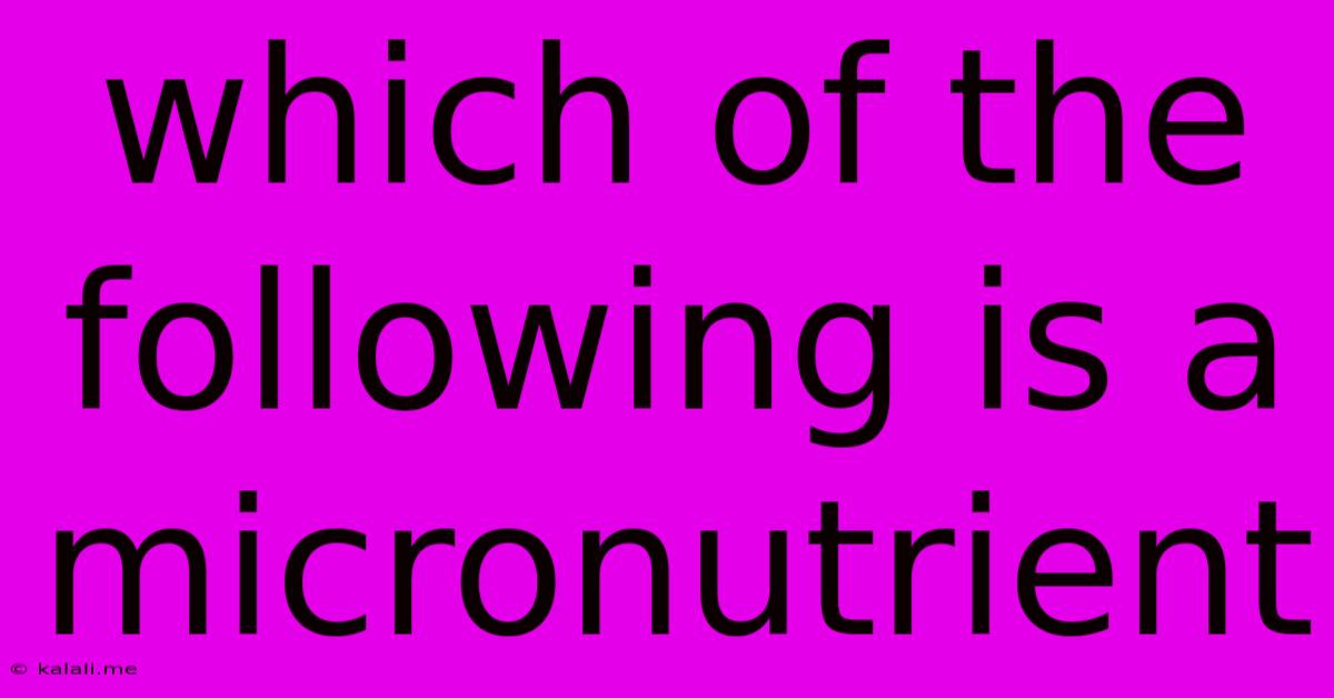 Which Of The Following Is A Micronutrient