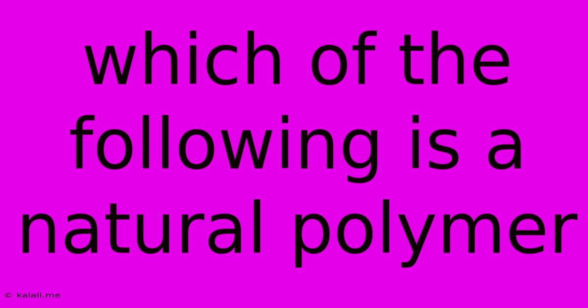 Which Of The Following Is A Natural Polymer