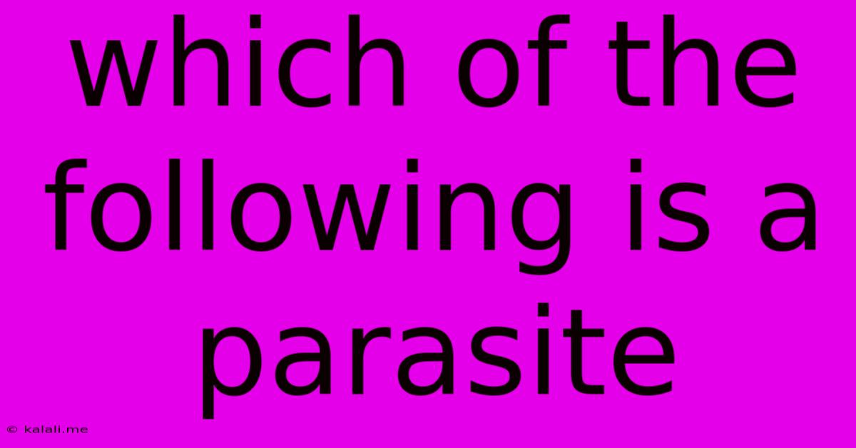 Which Of The Following Is A Parasite