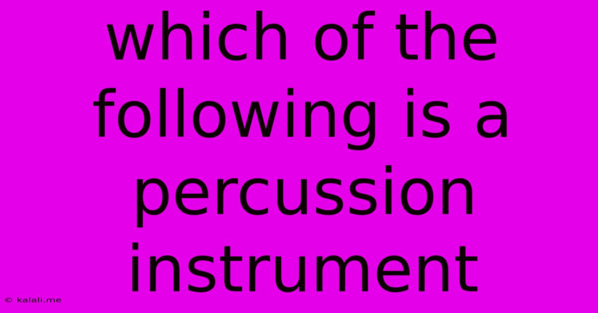 Which Of The Following Is A Percussion Instrument