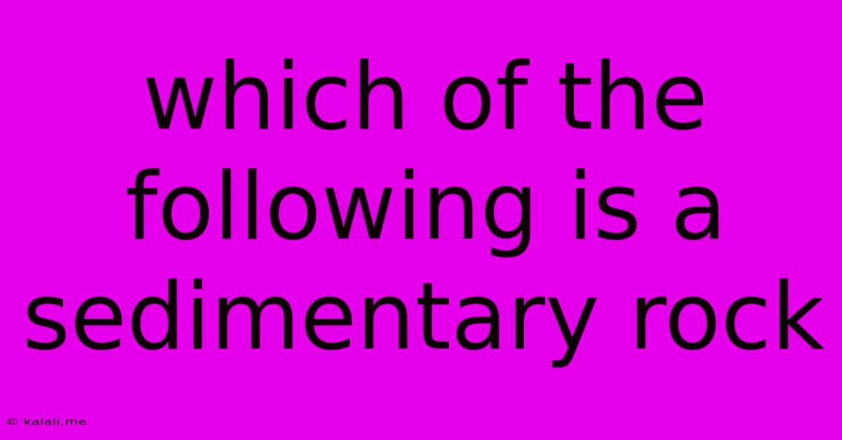 Which Of The Following Is A Sedimentary Rock