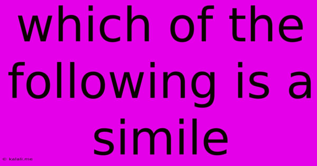 Which Of The Following Is A Simile
