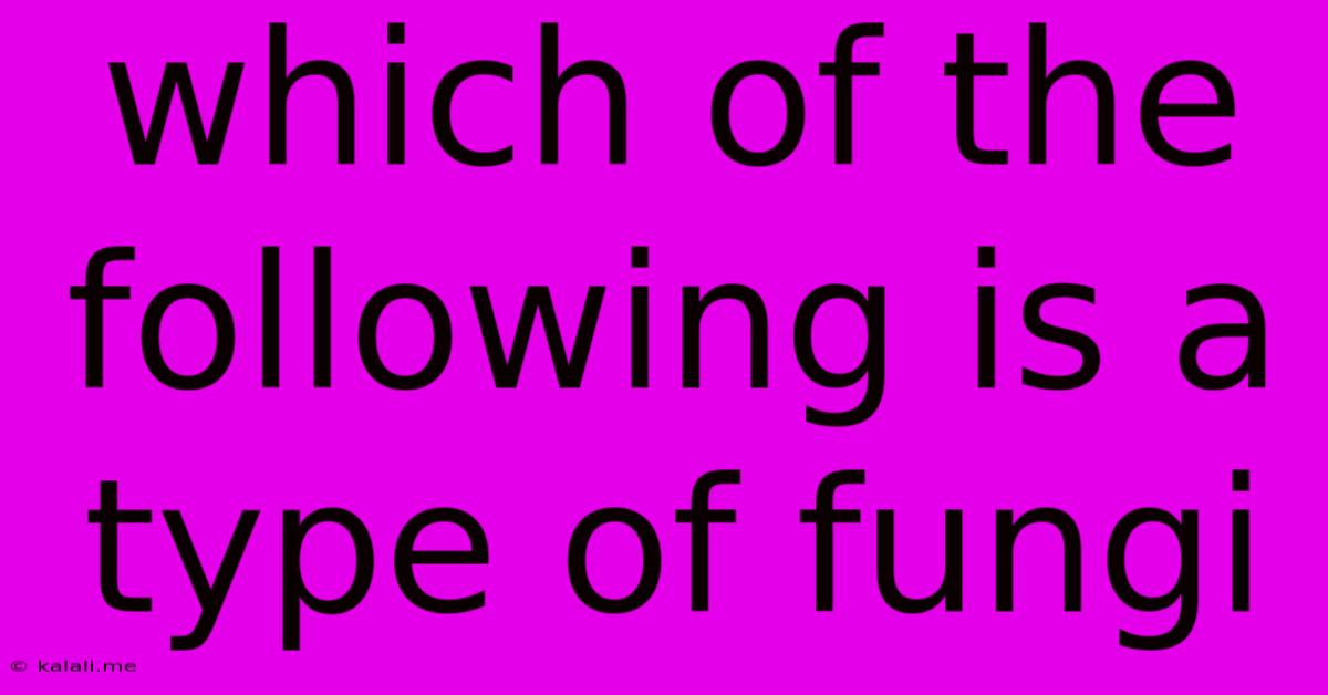 Which Of The Following Is A Type Of Fungi
