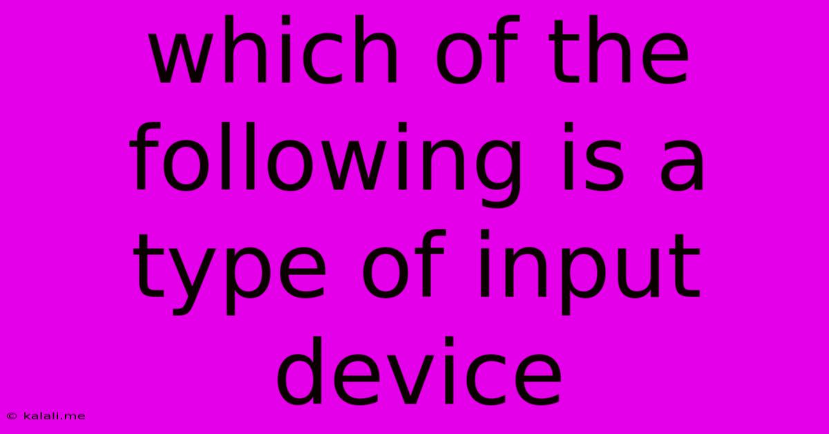 Which Of The Following Is A Type Of Input Device