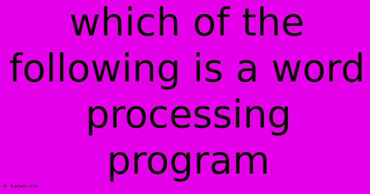 Which Of The Following Is A Word Processing Program