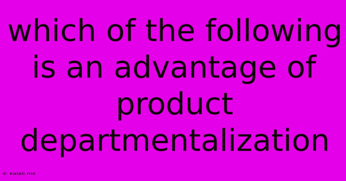 Which Of The Following Is An Advantage Of Product Departmentalization