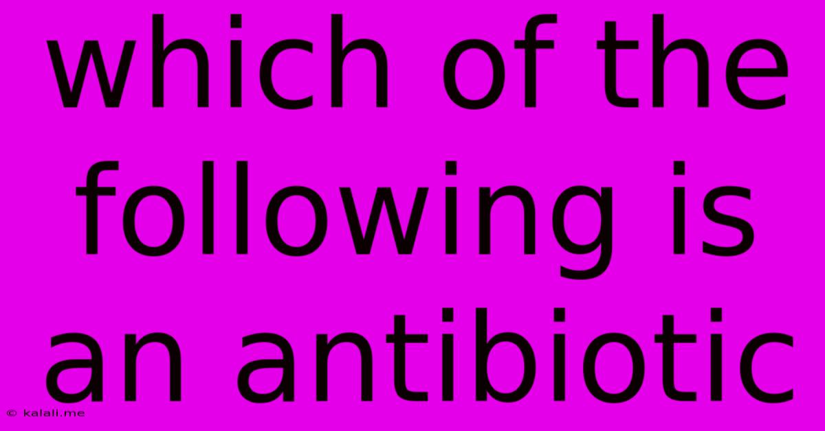 Which Of The Following Is An Antibiotic