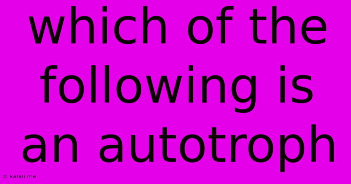Which Of The Following Is An Autotroph