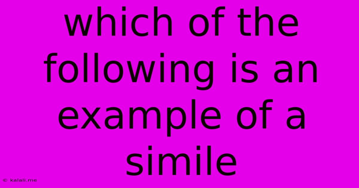 Which Of The Following Is An Example Of A Simile
