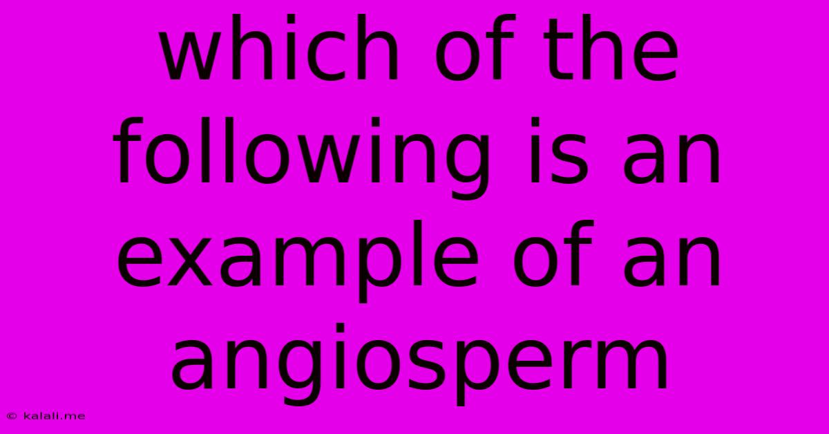Which Of The Following Is An Example Of An Angiosperm