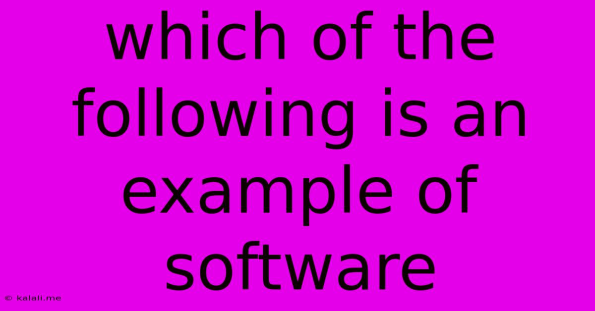 Which Of The Following Is An Example Of Software