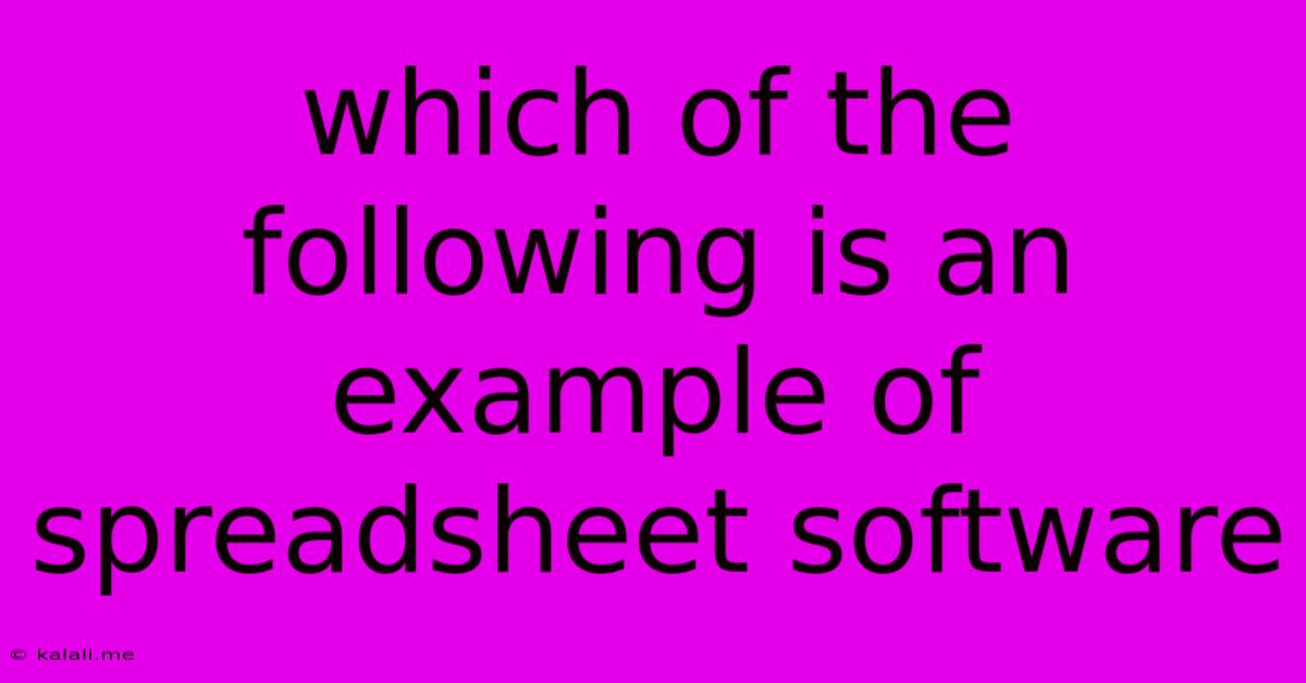 Which Of The Following Is An Example Of Spreadsheet Software