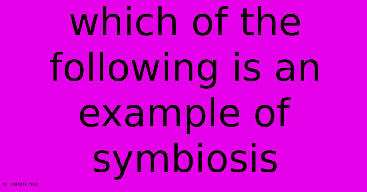 Which Of The Following Is An Example Of Symbiosis