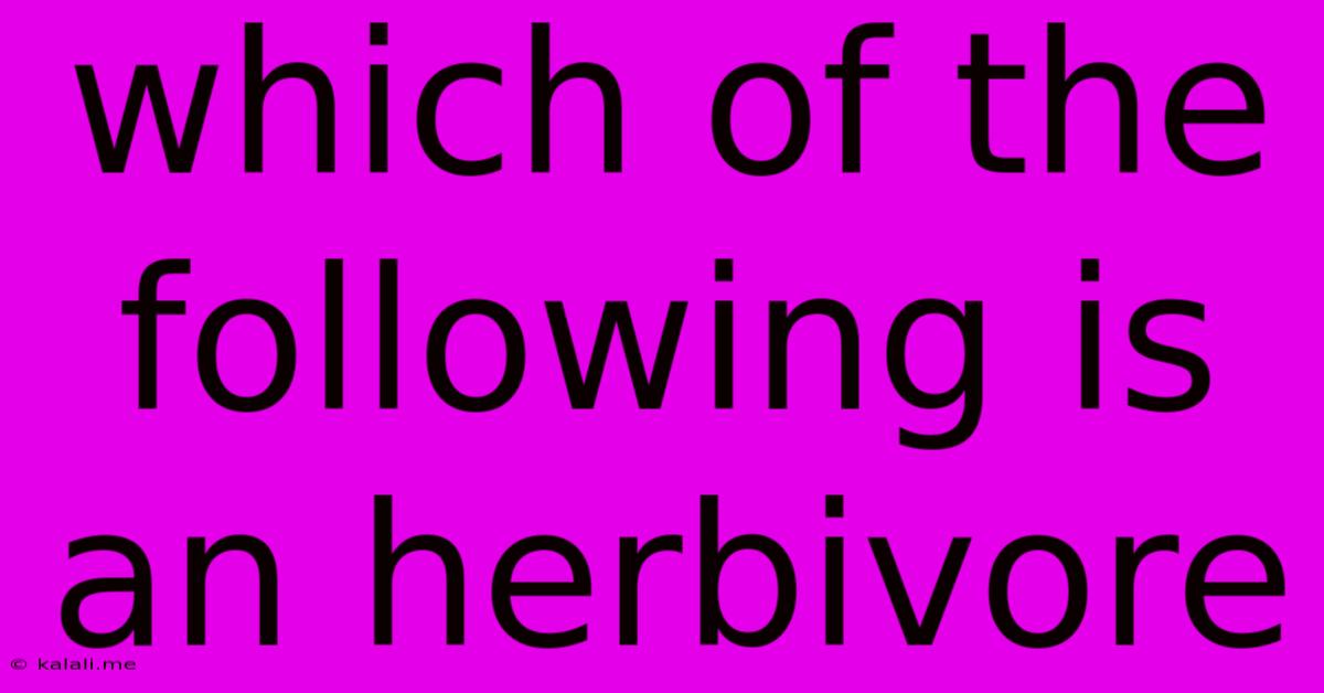 Which Of The Following Is An Herbivore
