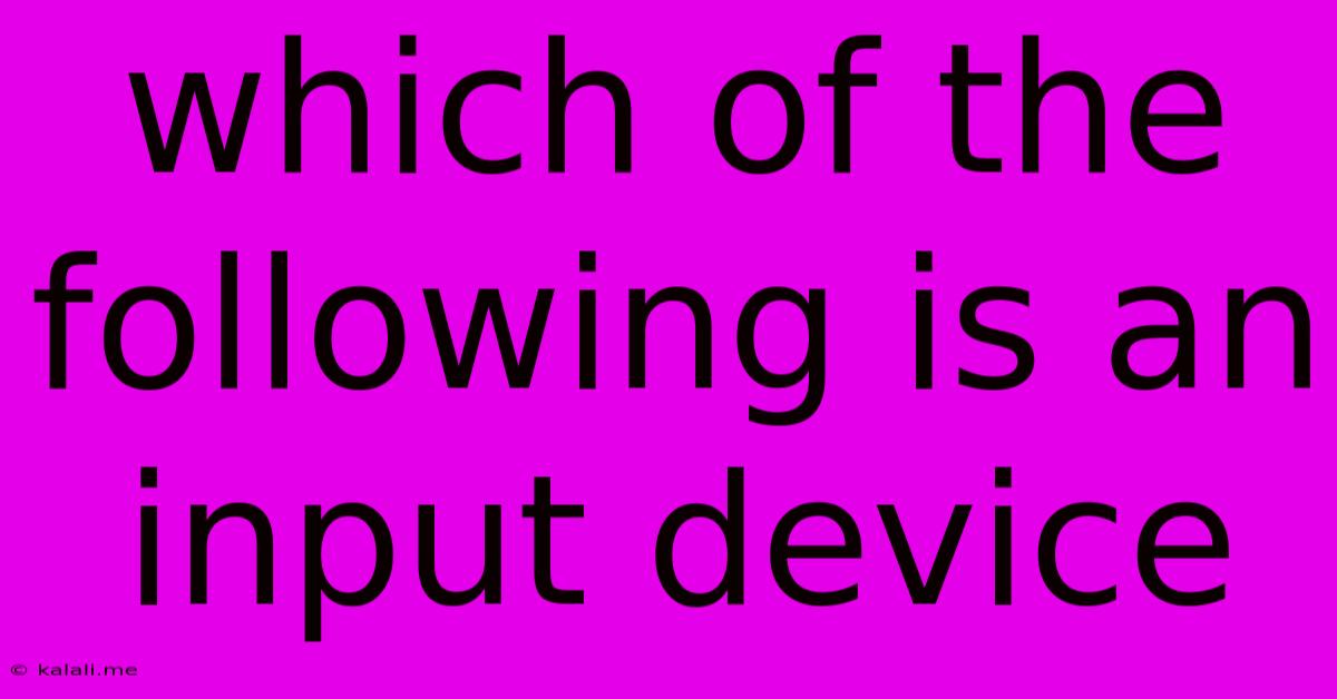 Which Of The Following Is An Input Device