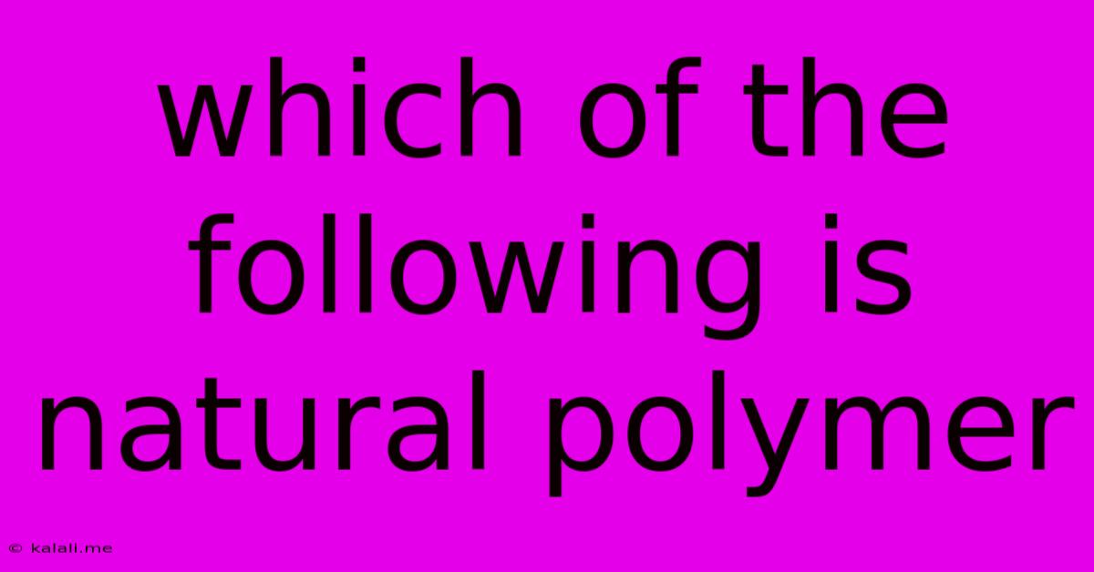 Which Of The Following Is Natural Polymer