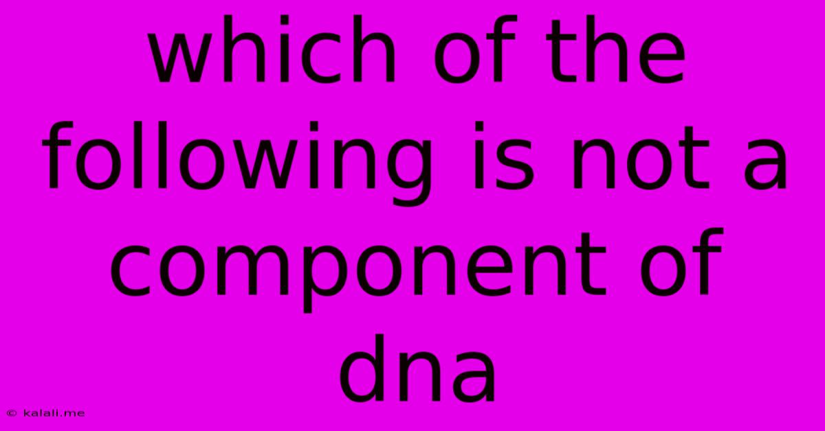 Which Of The Following Is Not A Component Of Dna