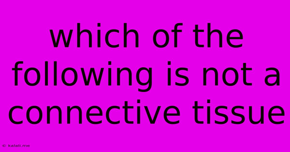 Which Of The Following Is Not A Connective Tissue