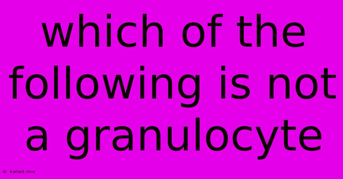 Which Of The Following Is Not A Granulocyte