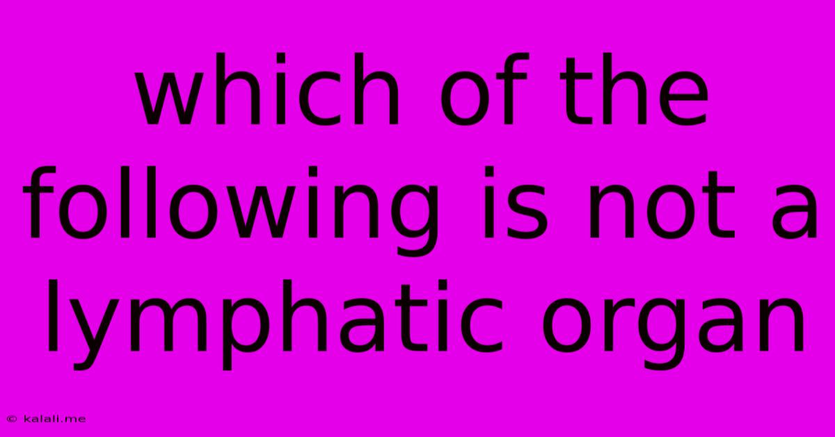 Which Of The Following Is Not A Lymphatic Organ