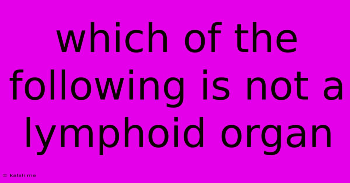 Which Of The Following Is Not A Lymphoid Organ