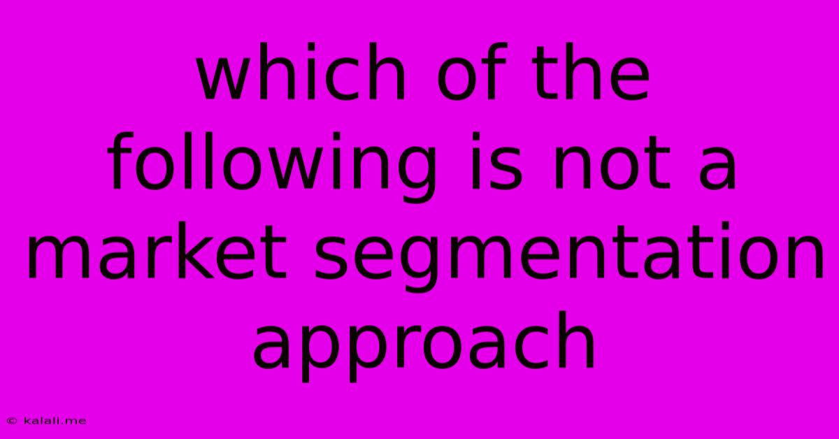 Which Of The Following Is Not A Market Segmentation Approach