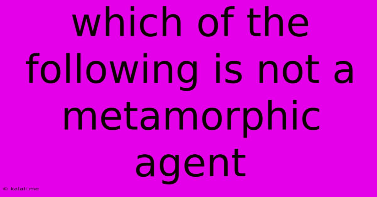Which Of The Following Is Not A Metamorphic Agent