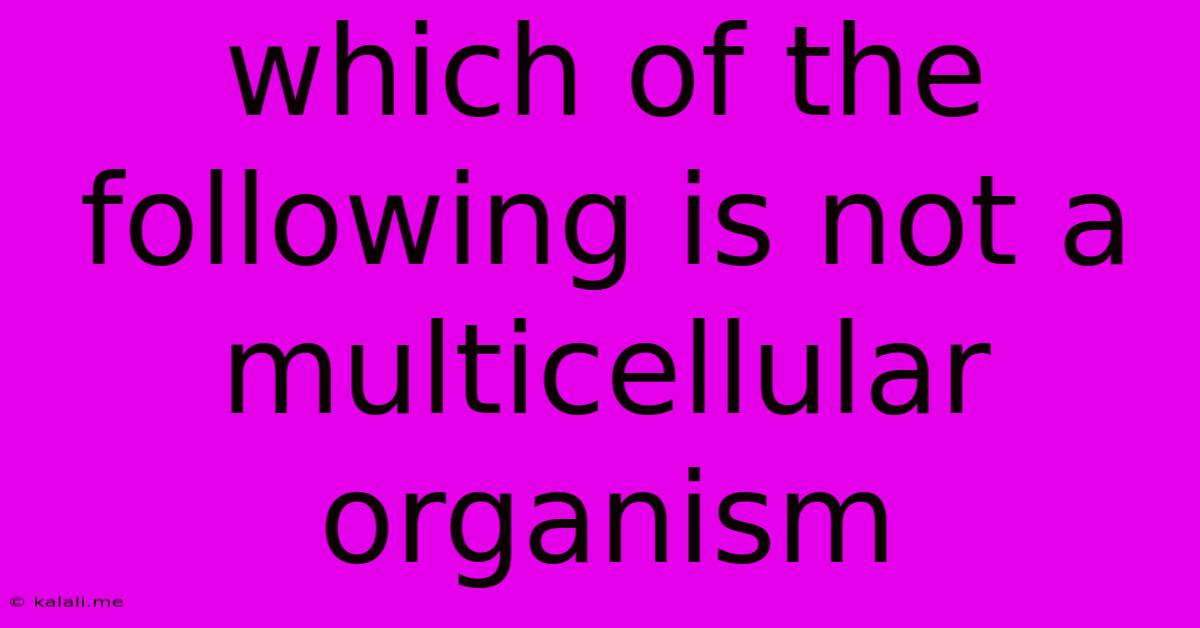 Which Of The Following Is Not A Multicellular Organism