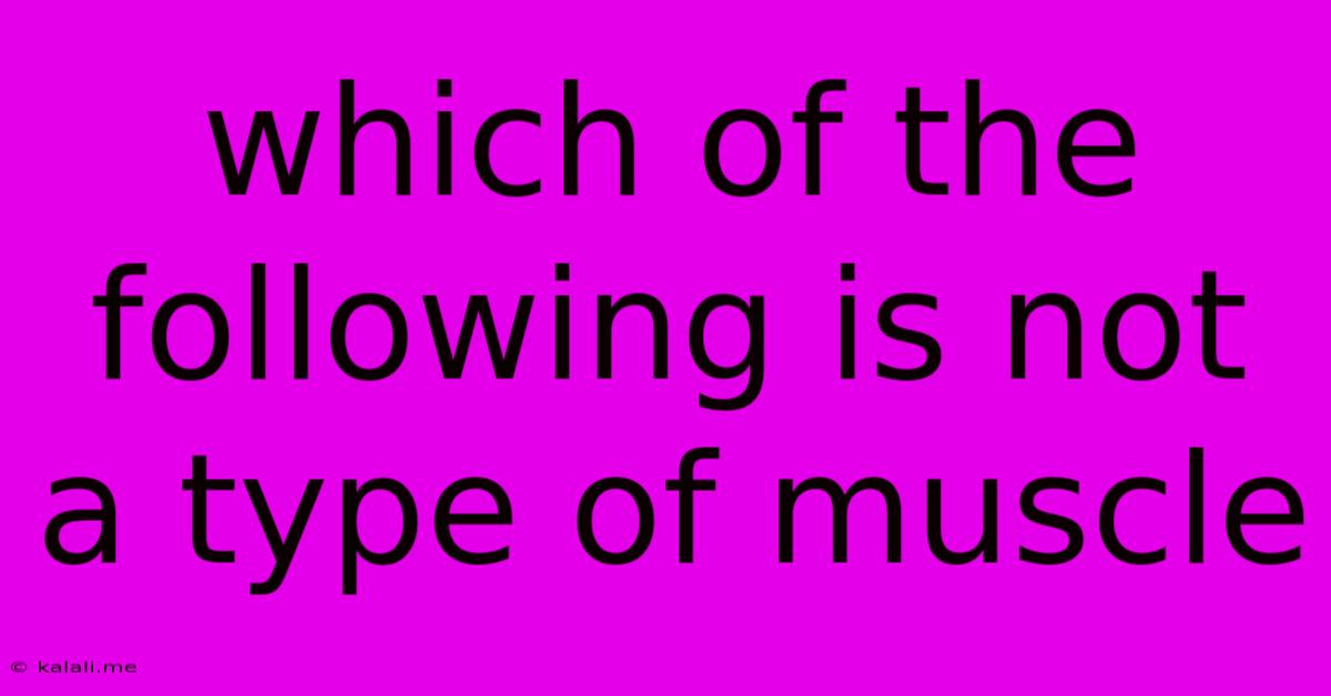 Which Of The Following Is Not A Type Of Muscle