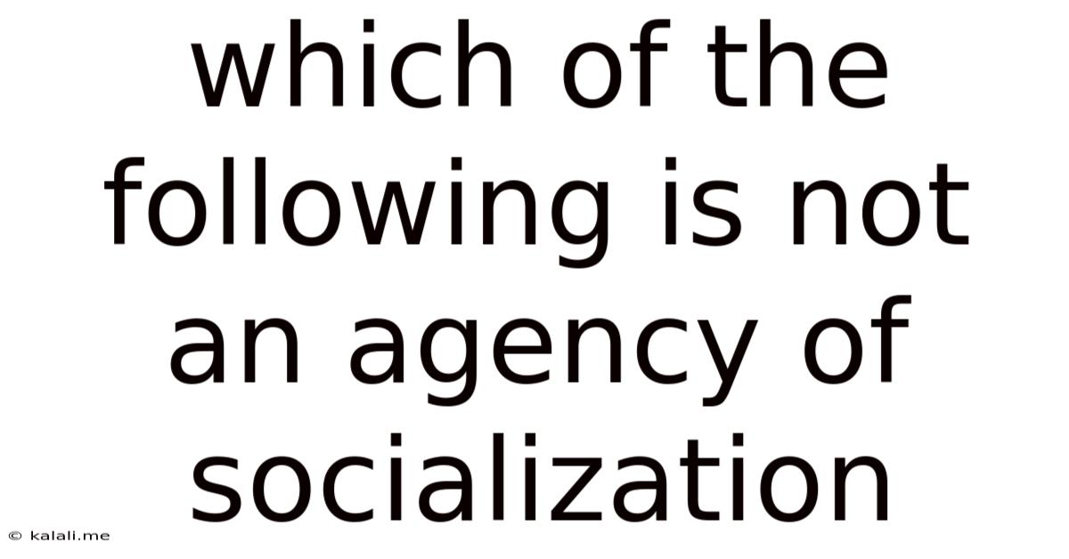 Which Of The Following Is Not An Agency Of Socialization