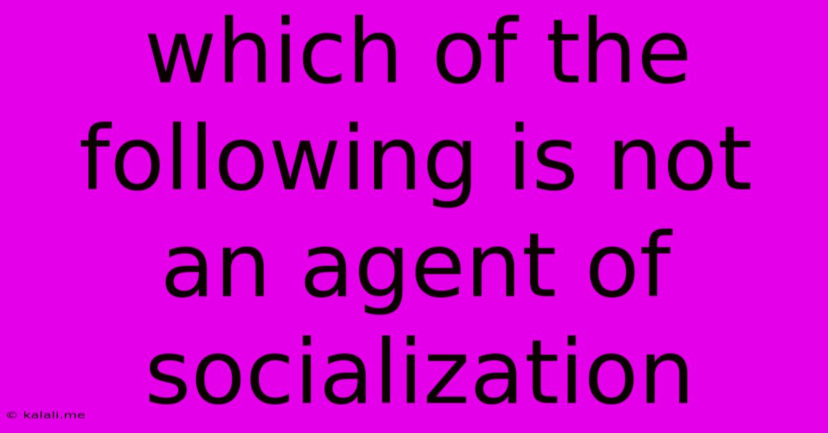 Which Of The Following Is Not An Agent Of Socialization