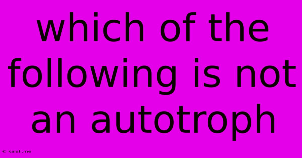 Which Of The Following Is Not An Autotroph