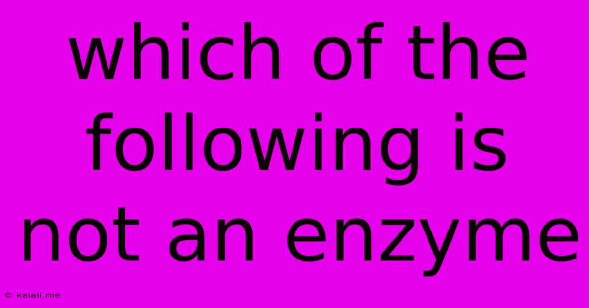 Which Of The Following Is Not An Enzyme