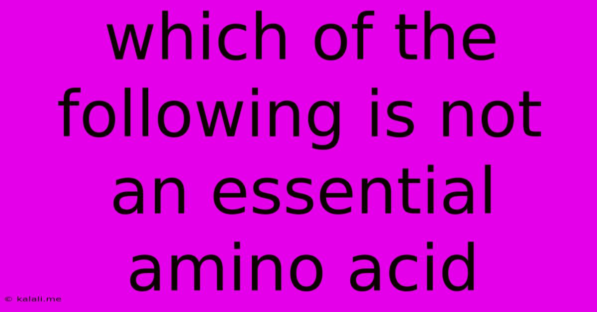 Which Of The Following Is Not An Essential Amino Acid