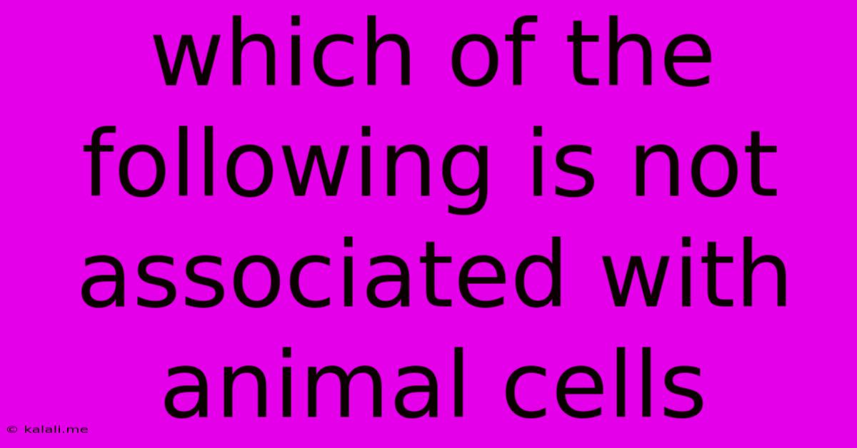 Which Of The Following Is Not Associated With Animal Cells