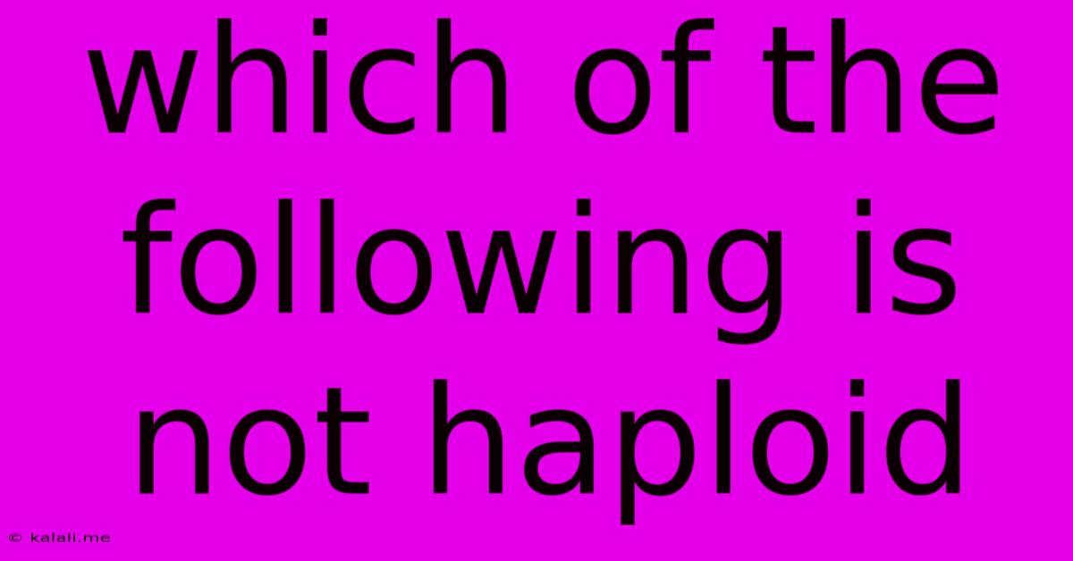 Which Of The Following Is Not Haploid