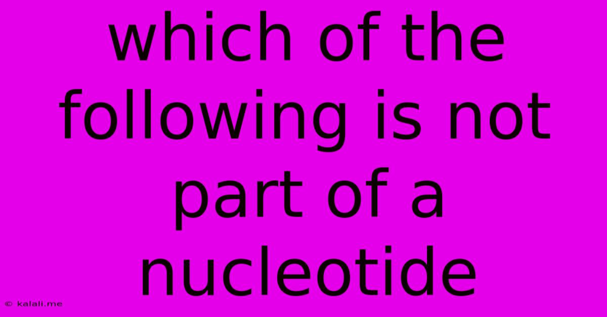 Which Of The Following Is Not Part Of A Nucleotide
