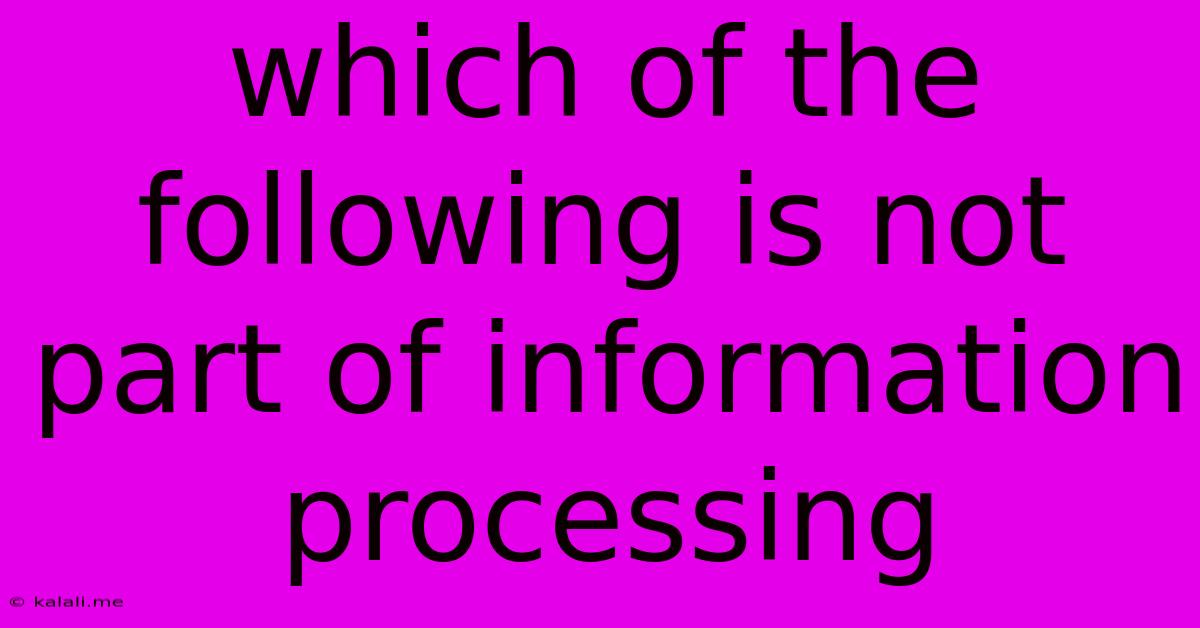Which Of The Following Is Not Part Of Information Processing