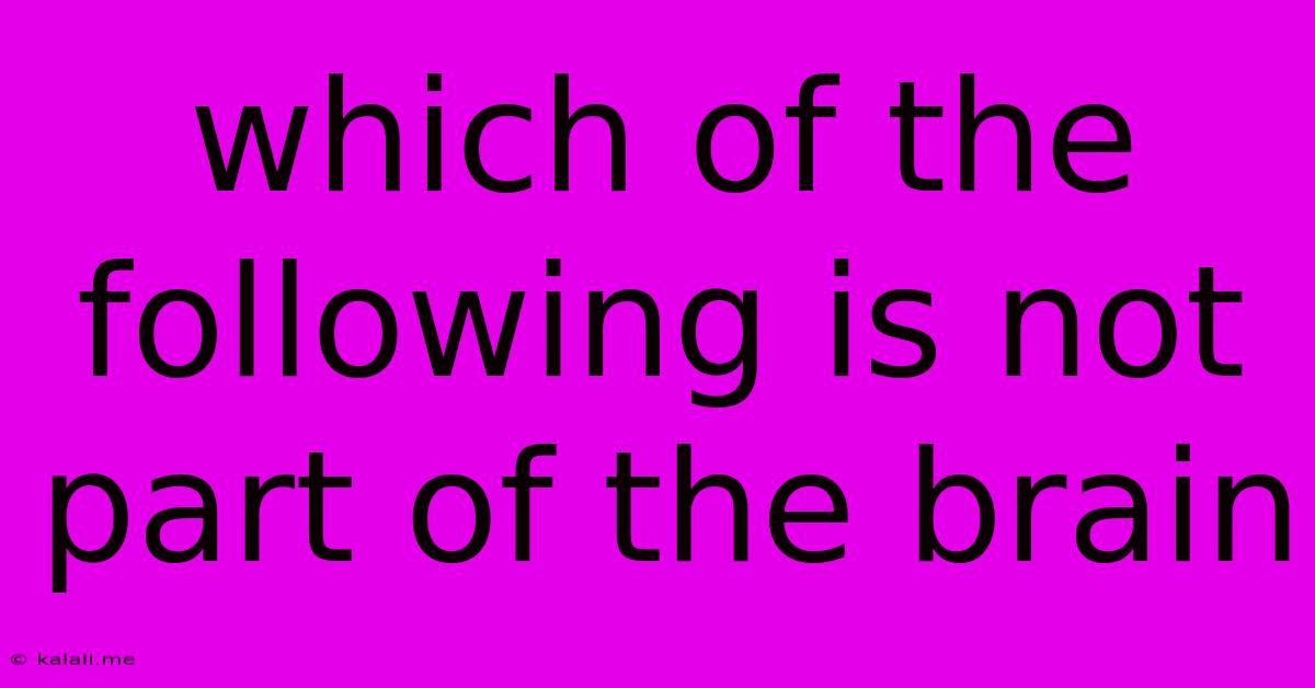 Which Of The Following Is Not Part Of The Brain